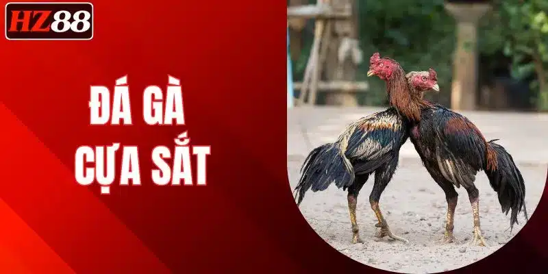 da-ga-cua-sat